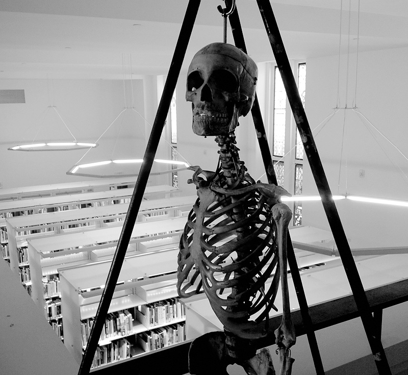 Cambridge, Lunder Arts Center, fragment biblioteki w zabytkowym kościele, fot. St. Kulawiak