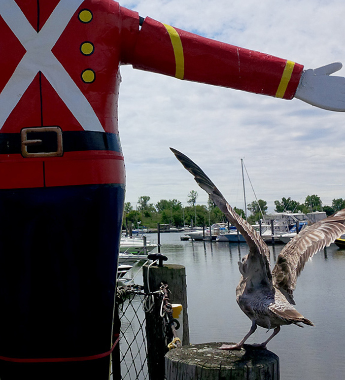 Przystań dla jachtów w Bridgeport, fot. St. Kulawiak