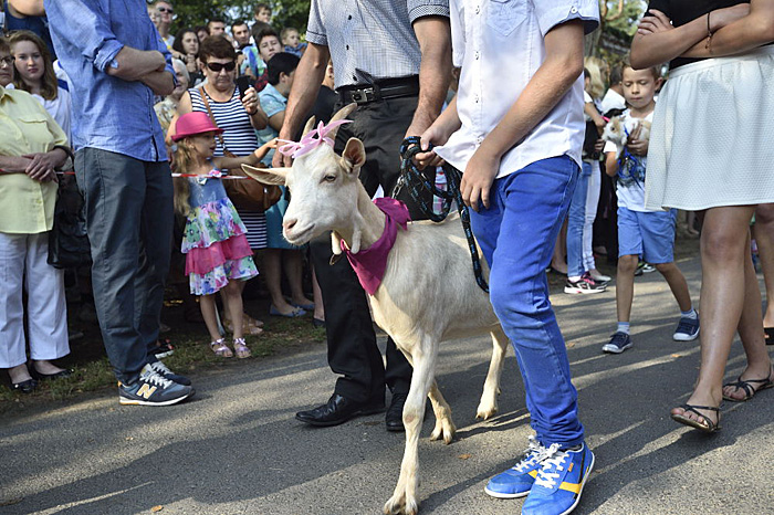 Fot. Piotrek Kosmala