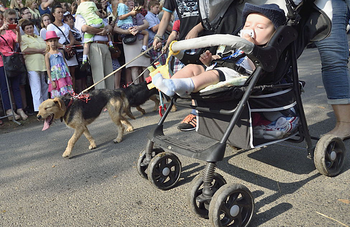 Fot. Piotrek Kosmala