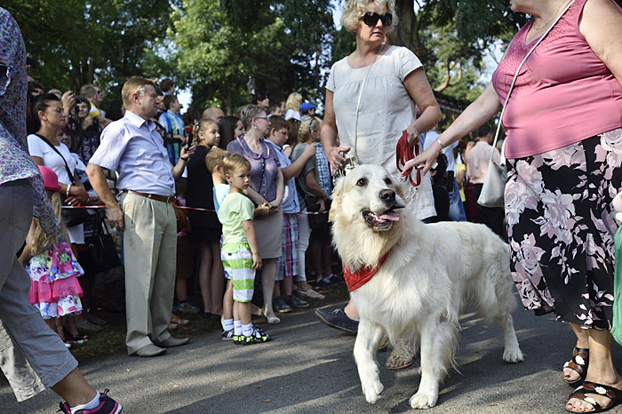 Fot. Piotrek Kosmala