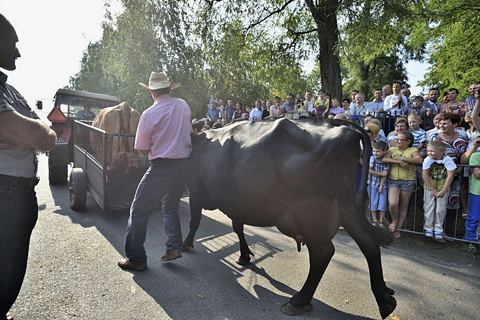 Fot. Piotrek Kosmala