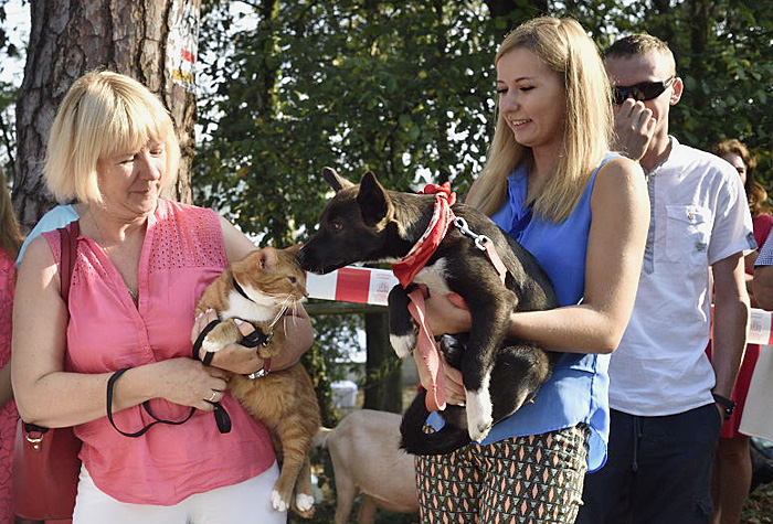 Fot. Piotrek Kosmala