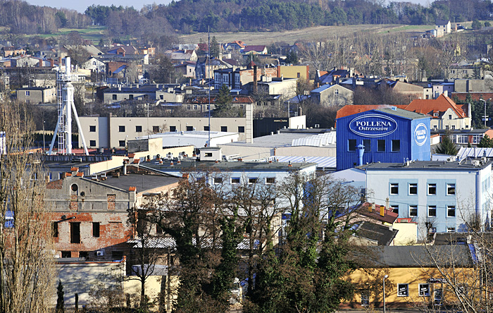 fot. Grzegorz Kosmala