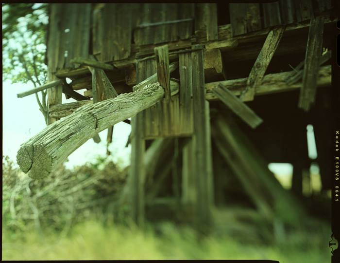 fot. Grzegorz Kosmala