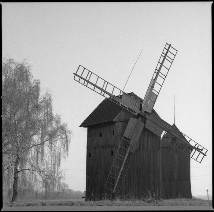 fot. Grzegorz Kosmala