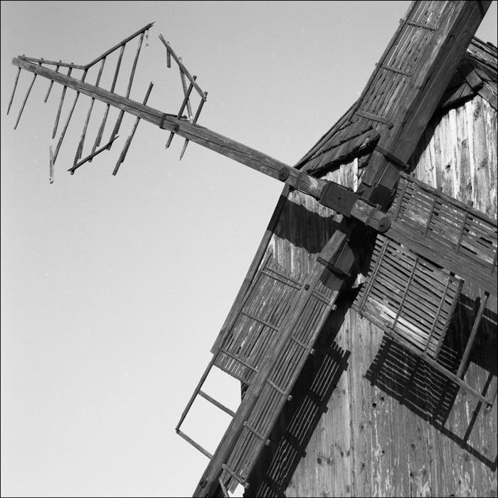 fot. Grzegorz Kosmala