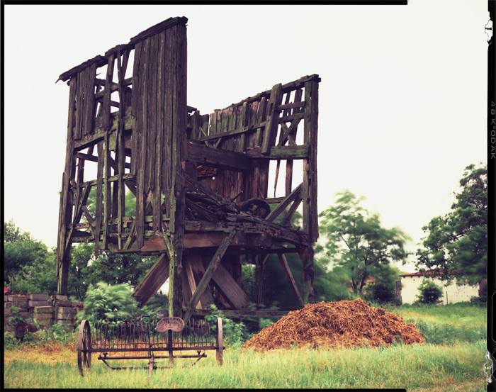 Grzegorz Kosmala, Starostwo 2011