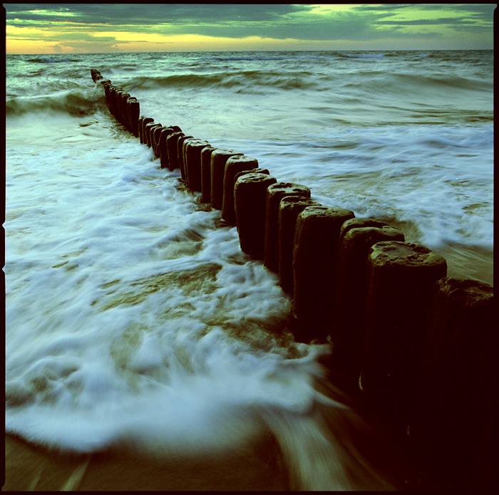 fot. Grzegorz Kosmala