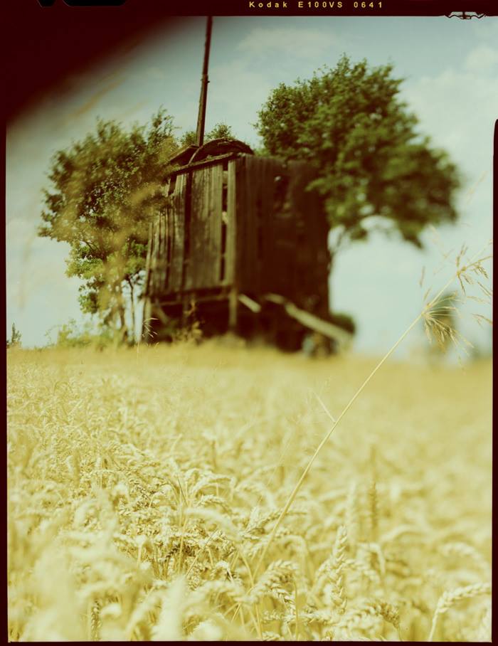 fot. Grzegorz Kosmala